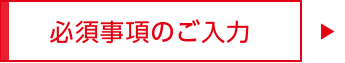 必要事項のご入力